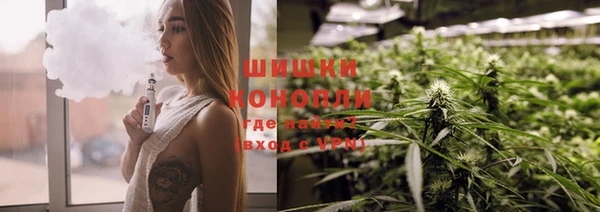 спайс Богданович