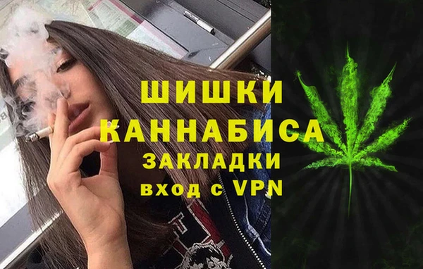спайс Богданович
