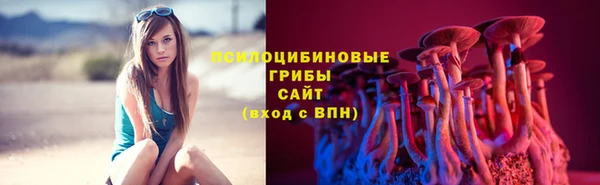 спайс Богданович