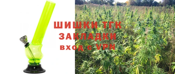 спайс Богданович