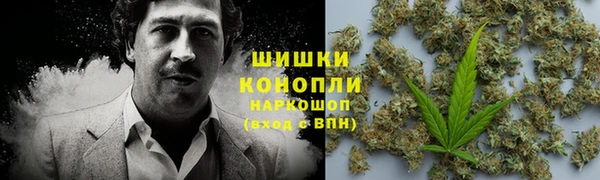 спайс Богданович