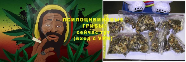 тгк Богородицк