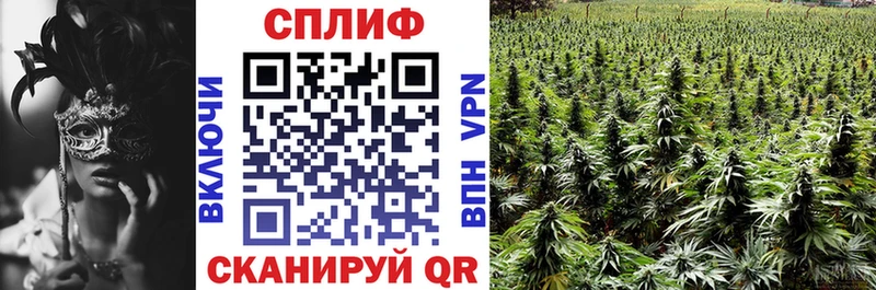 МАРИХУАНА гибрид  Беломорск 